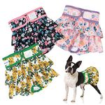 Pet Soft Washable Female Diapers (3 Pack) – Female Dog Diapers, Dress Style Comfort Reusable Doggy Diapers for Girl Dog in Period Heat (Floral, S)