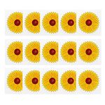 30PCS Floral Window Fly Traps Catcher Indoor Stickers for Indoor Insect Pest Attractor and Eliminator (Yellow)