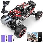 DEERC 1:12 Remote Control Car with 