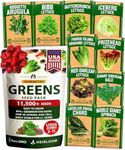 5,000+ Heirloom Lettuce Seeds for Planting Indoors - 95% Germination, Non-GMO Greens Seeds, (10 Varieties): Kale, Spinach, Butter, Romaine, Arugula & More - Lettuce Seeds for Hydroponic Home Garden