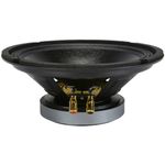 PYLE Pro PPA10 Professional Premium Pa Woofer, Black, one size