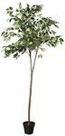 Amazon Basics Artificial Ficus Tree Fake Plant with Plastic Planter Pot, 63", Green