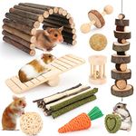 Hamster Toys Guinea Pig Toys Hamster Wheel Hamster Cage Accessories Small Animal Molar Chew Toys for Chinchillas,Gerbils,Mice,Rats,Mouse,Rabbit,Bunny Hideout Seesaw (12 Different chew Toys)