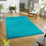 Wadan 80x150cm Teal Blue Shaggy Rugs Living Room |5mm Thick Pile | Extra Large Small Medium | Rectangular Size | Soft Touch | Living Room Area Rugs | Non Shedding