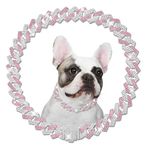 Metal Diamond Dog Chain Dog Training Chain with Secure Buckle Pet Collars for Large Medium Dogs