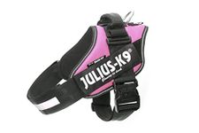 Julius-K9, 16IDC-PN-1, IDC Powerharness, dog harness, Size: L/1, Pink