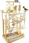 LIMIO Bird Playground Parrot Playst