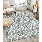 Lahome Area Rugs 5x7 for Living Roo