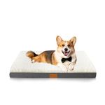 JOLLYVOGUE Mediume Dog Bed, Orthopedic Dog Bed with Egg Crate Foam Support and Non-Slip Bottom, Soft & Cozy Dog Beds with Removable Washable Cover (Medium, Light Grey, Up to 65 lbs)