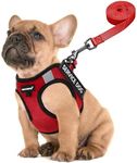 FAYOGOO Service Dog Vest for Small 