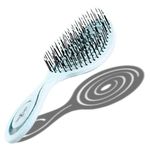 CHIARA AMBRA Bio Friendly Detangling Hair Brush for Women, Men & Children - Hair Straightening Brushes for Straight, Curly & Wet Hair - No Tugging Detangler - Vegan Vent Hairbrush – Light Blue