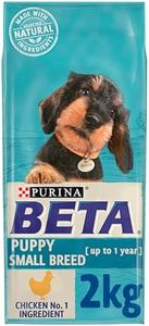 BETA Puppy