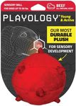 Playology Dog Toys | Puppy Toy Plush Sensory Ball for Dogs and Puppies | Medium Beef Scented Toy - Easy to Clean and Made from Non Toxic Materials