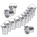 Small Metal Buckets Pack of 12 Mini Tin Pails Galvanized Tinplate Container 3" for Gardening Plants Home Party Decoration