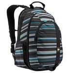 Case Logic BPCA-115 Berkley Plus 15.6-Inch Laptop and Tablet Backpack, Calypso