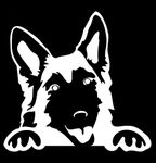 CCI Peeking German Shepherd Dog Decal Vinyl Sticker|Cars Trucks Vans Walls Laptop|White |5.5 x 5.6 in|CCI1809