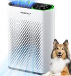 Powerful Air Purifiers for Home Lar