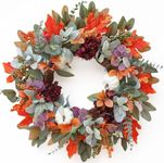 Fall Wreaths for Front Door, 22 Inc