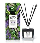 Air Jungles Lavender Scent Reed Diffuser Set with Sticks, Essential Incense Oil Air Freshener for Bathroom, Office, Gym, and Bedroom Fragrance, 3.4 fl. oz