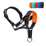 wintchuk Dog Head Collar, Animal Collar with Reflective Strap to Stop Pulling for Small Medium and Large Dogs, Adjustable (L, Orange)
