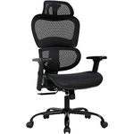 Home Office Chair Mesh Desk Chair Ergonomic Office Chair with 3D Arms Back Lumbar Support Swivel Rolling Task Chair(Black)