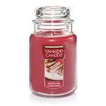 Yankee Candle Large Jar Candle Sparkling Cinnamon