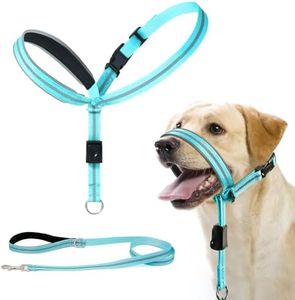 BARKLESS Dog Head Collar, Reflective Head Halter for Small Medium Large Dogs with Soft Padding, No Pull Dog Mouth Harness with Training Leash, Adjustable Muzzle Leash for Gentle Walking (Turquoise, L)