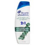 Head & Shoulders Itchy Scalp 2-in-1 Anti-Dandruff Shampoo + Conditioner, 370 mL