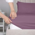 SleepyCat Fitted Bedsheet Set Cotton 200Tc Percale Combed Yarn With A Durable Elastic And Corner Stitch Oeko-Tex&Azo Free With 1 Standard Size Solid Pillow Cases(Double Size 72X48)Purple Panther,Twin