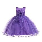 Weileenice Flower Girl Pageant Dresses Plum Purple Vintage Junior Bridesmaid Wedding Birthday Party Ball Gown 3D Lace Embroidery Big Girls Formal Holiday Prom Gown 8 9 Princess Tutu Dress Halloween