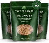 Sea Moss R