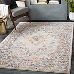 Surya Casablanca Vintage Rug - Area Rugs Living Room, Hallway Floor, Kitchen, Traditional Multicoloured Boho Rug, Easy Care Pile, Bohemian Large Rug 160x213cm Taupe and Natural Cream Rug