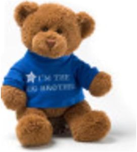 GUND “I’m The Big Brother” Message Bear with Blue T-Shirt, Teddy Bear Stuffed Animal for Ages 1 and Up, Brown, 12”