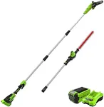 Greenworks 40V 10" Brushless Pole S