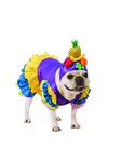 Rubie's Unisex Adult Brazilian Bombshell Pet Costume, As Shown, S Neck 12 Girth 17 Back 11 US