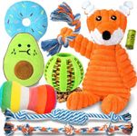 Dog Chew Toy Set (Blue and Green)