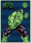 Hulk Marvel Fleece Blanket 100 x 14