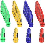 Winbar Mini Flashlight Keychain, 24