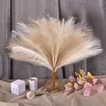 U-LIAN Faux Pampas Grass Beige and 