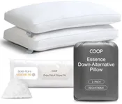 Coop Home Goods Essence Down Altern