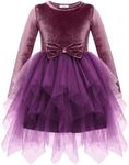 Arshiner Toddler Velvet Dress for Girls Irregular Hem Tulle Long Sleeve Party Holiday Purple Dress Kids Clothes