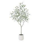 Fopamtri Artificial Ficus Silk Tree Fake Plants 180 cm Artificial Plants Indoor, Fake Ficus Tree with White Planter for Home Office Garden Decoration (1 Pack)