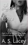 Lydia's Cage: A story of sexual domination (Lydia's Secret Journey Book 3)