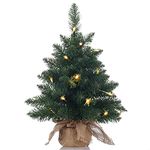 Pre-Lit Artificial Mini Christmas Tree,20 inch Miniature Pine Tree with Lights,Pine Artificial Xmas Tree,70 Branch Tips,Great for Tabletop or Desk-(50cm)