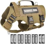 WINSEE Service Dog in Training Vest