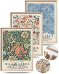 UPWOIGH Framed Wall Art(No Plexiglass), William Morris Wood Canvas Wall Art,12x16in Cotton Pattern Vintage Poster Wall Decor Aesthetic for Living Room Bedroom, Colorful Plants Flowers Neutral Wall Decor Set of 3