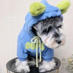 Dog Clothing Brands