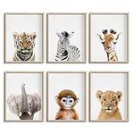 EPHANY Baby Animal Posters and Prints Baby Nursery Decor Pictures Set of 6 (Unframed) Cute Animal Photography Wall Prints for Baby Boys & Girls Room YMX016 (12"X16"(30x40cm))