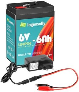 Batería LiFePO4 de 6 V y 6 Ah, 6 voltios, recargable, fosfato de hierro y litio para luz de emergencia, linterna, coche para niños, alimentador de juegos de ciervos (Smar BMS)