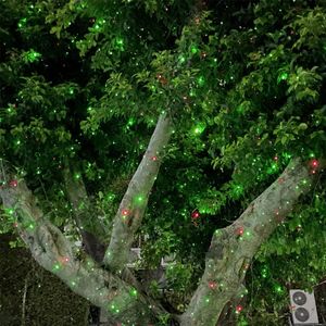 Dalanpa Christmas Garden Lights Projector – Outdoor Holiday Decoration